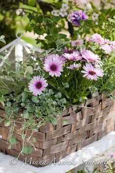 a basket filled with purple flowers sitting on top of a white bench next to green leaves