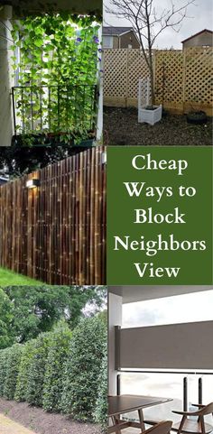 The cost of your contractor and subcontractors will be higher. Now consider a small patio design. Block Neighbors View, Privacy Landscaping Backyard, Gravel Backyard, Yard Privacy, Privacy Landscaping, Pool Backyard, Backyard Oasis Ideas, Garden Privacy, Backyard Privacy