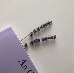 two lavender flowers sitting on top of a white table next to an abo book