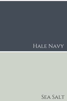 the cover of hale navy's sea salt album