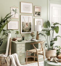 a room with green walls and pictures on the wall, plants in vases next to a desk