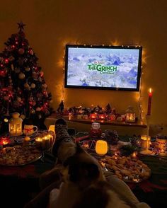 a cat laying on the floor in front of a christmas tree and television with lights