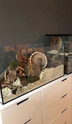 two fish tanks filled with water next to each other on top of a white dresser