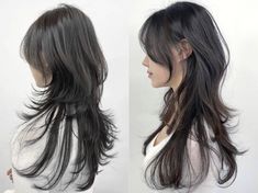 Wolfcut Hair Long Reference, Jelly Fish Haircut Long Korean, Hush Cut Back View, Jellyfish Haircut Long Straight, Jelly Fish Cut Long, Hush Cut Long Hair Straight, Long Hush Cut Straight Hair, Long Hair Jellyfish Haircut, Jellyfish Wolf Cut Hair