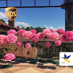 pink roses are in the foreground and an ups sign is in the background