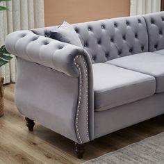 a grey couch sitting on top of a wooden floor next to a potted plant