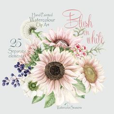 a watercolor painting of pink and white flowers with the words bush on white written below