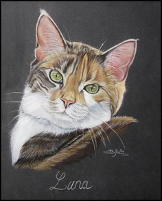 a drawing of a cat with green eyes