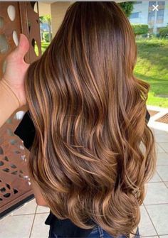 Hair Color Brown Chestnut, Chestnut Brown Hair, Chestnut Hair, Chestnut Hair Color, Long Hair Color