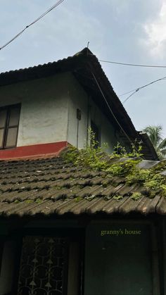 the roof of an old house with vines growing on it and power lines above them