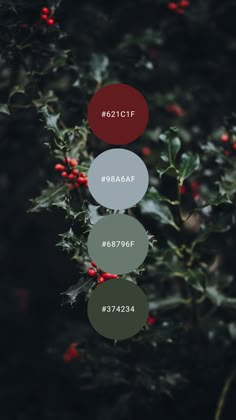 the christmas tree is decorated with red berries and green leaves, which are labeled in three different colors