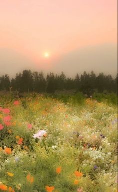 a field full of flowers and trees with the sun setting in the distance behind them