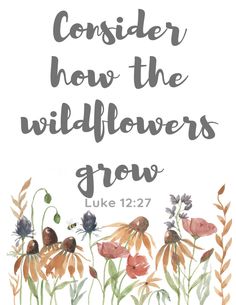 flowers with the words consider how the wildflowers grow luke 12 27 - 32