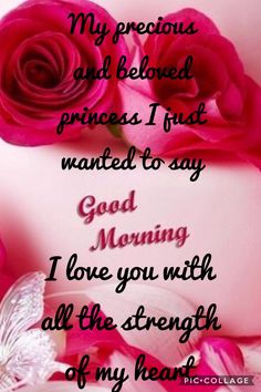 pink roses with the words, my precious princess i just wanted to say good morning