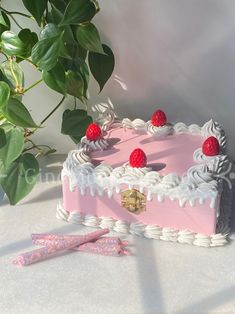 a pink cake with white frosting and raspberries on top sitting next to a potted plant