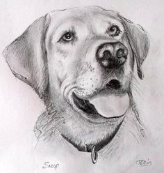 a black and white drawing of a dog's face