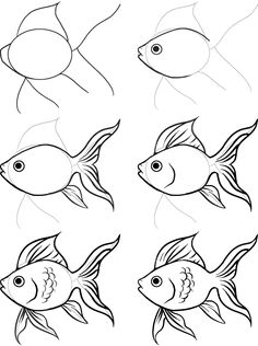 four different types of fish in black and white, each with their own line drawing