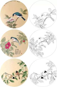 four birds sitting on top of flowers in three different circles, each with one bird perched on the flower