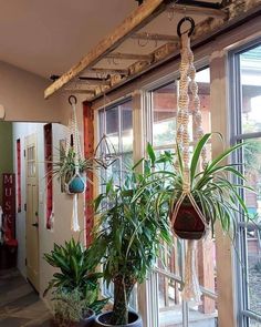 an old ladder turned beautiful plant holder store more than 2, 12k comments