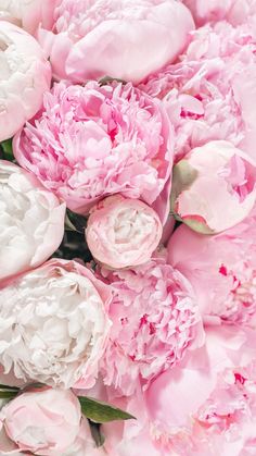 pink and white peonies are arranged together