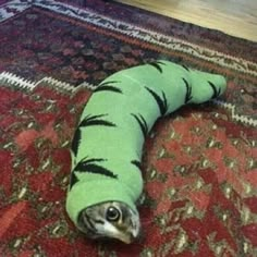 a cat in a caterpillar costume laying on the floor with it's eyes open