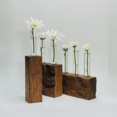 This lovely Stem Vase Set is handcrafted from solid Walnut hardwood with glass tubes and sealed with non-VOC Danish oil. Each one is deeply textured with a unique abstract pattern creating an original work of art to display your stems or cuttings. Perfect for those precious flowers picked by a child for a parent or grandparent! Arrange several together for a creative table centerpiece or display on a window sill to propagate new growth from cuttings. Works with decor styles from Contemporary and Midcentury Modern to Rustic Farmhouse, Boho, Wabi Sabi and Japandi. Sizes:     Please refer to the listing photos for an idea of dimensions. Single Vase:  1 3/4" x 1 3/4" x 6" (9 1/2" with tube) 4.5cm x 4.5cm x 15.25cm (24.13cm with tube)                        Double Vase: 4" x 1 3/4" x 4 1/2" (8" Propagating House Plants, Window Sill Decor, Vase Plant, Test Tube Vase, Single Flowers, Propagation Station, Creative Tables, Minimalist Flower, Test Tubes