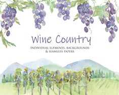 a watercolor painting of grapes growing in a vineyard with the text wine country individual elements background & seamless paper