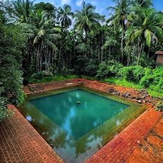 an empty swimming pool surrounded by lush green trees