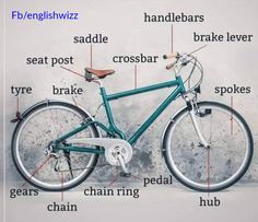 an image of a bicycle labeled in english