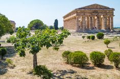 an ancient greek temple surrounded by trees and bushes