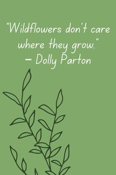 a green background with an image of a plant and the words wildflowers don't care where they grow - dolly barton