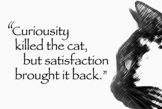 a black and white photo with a quote on it saying curiosity killed the cat, but satisfaction brought it back