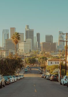 cars parked on the side of a road in front of tall buildings and palm trees