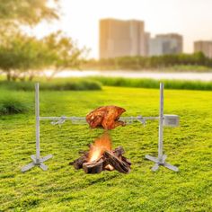 a fire pit in the middle of a grassy field