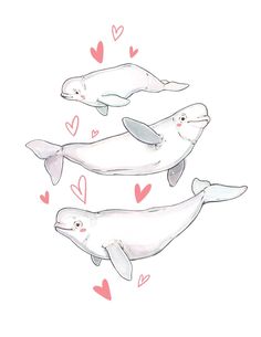 three white whales with hearts floating around them