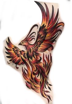 a bird with flames painted on it's wings