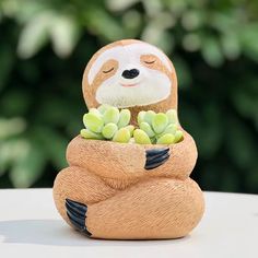 a small statue of a slotty bear holding succulents