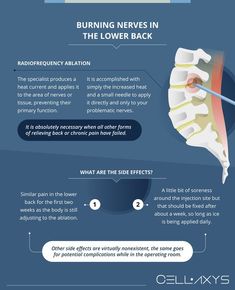 Burning Nerves in the Lower Back Pinched Nerve In Lower Back, Nerves In Back, Lower Back Stretches, Nerve Fiber, Low Back Stretches, Healthy Liver, Knee Injury, Sciatica