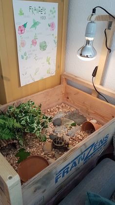 a wooden box filled with plants and rocks next to a light bulb on the wall