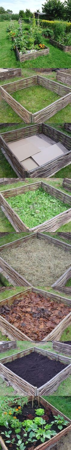 several rows of raised garden beds with plants growing in them and grass on the ground