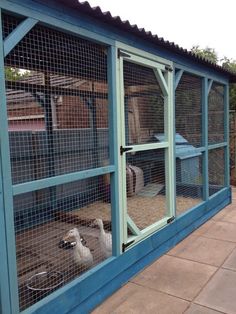 two sheep in a cage on the side of a building next to another animal enclosure