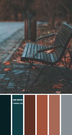 a wooden bench sitting on top of a sidewalk covered in leaves and fall color swatches