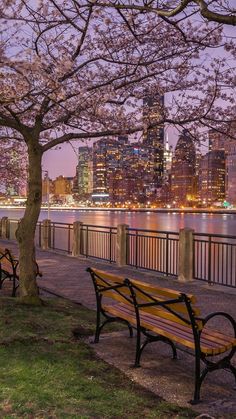 two park benches sitting next to each other on a sidewalk near the water with city lights in the background