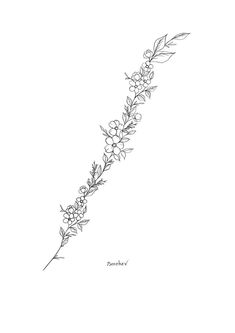 Clipart Tattoo Ideas, Flower Spine Tattoo Design, Floral Line Drawing Simple, Small Flower Spine Tattoo, Flower Spine Tattoo Stencil, Flower Vine Spine Tattoo, Flowers Down Spine Tattoo, Simple Floral Spine Tattoo, Floral Spine Tattoo Design