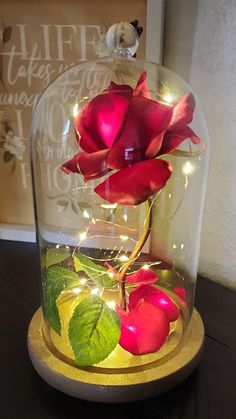 a rose in a glass dome with some lights around it on top of a table