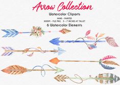 watercolor clipart arrows with flowers and feathers on them, including the name arrow collection