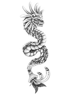 a drawing of a dragon on a white background