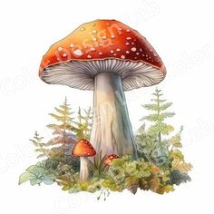 a watercolor painting of a mushroom in the grass