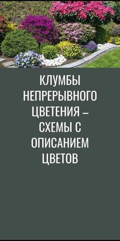 an image of a garden with flowers and plants in the foreground text reads, russian language