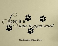 there is a dog's paw prints on the wall and it says, love is a four legged word